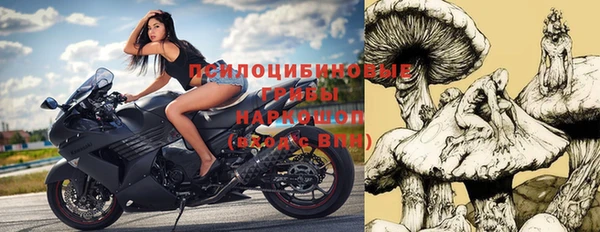 ПСИЛОЦИБИНОВЫЕ ГРИБЫ Абдулино