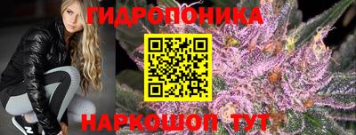 Альфа ПВП Ставрополь