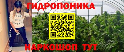 Альфа ПВП Ставрополь