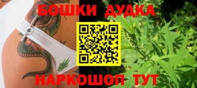Альфа ПВП Ставрополь