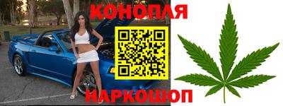 Альфа ПВП Ставрополь