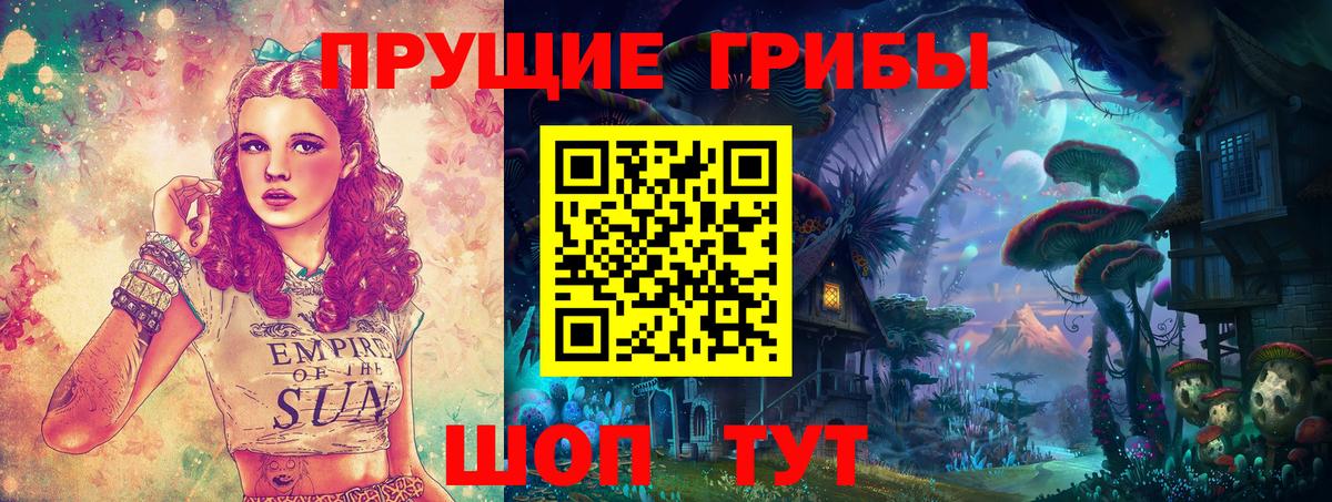 Псилоцибиновые грибы Psilocybine cubensis Тюмень